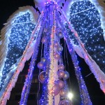 IMG_0343 copy