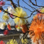 IMG_0286