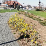 IMG_20210419_105509