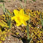 IMG_20210419_105618