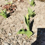 IMG_20210419_105703