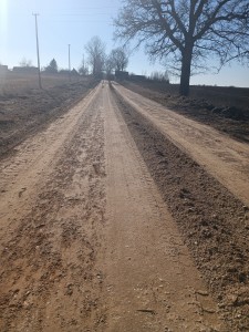 1647503154089