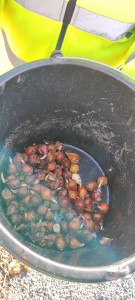 IMG_20220325_090447