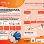 10vmvtskrajutekodelreikiapazenklintiir-uzregistruotiaugintini