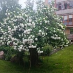 1654843586116